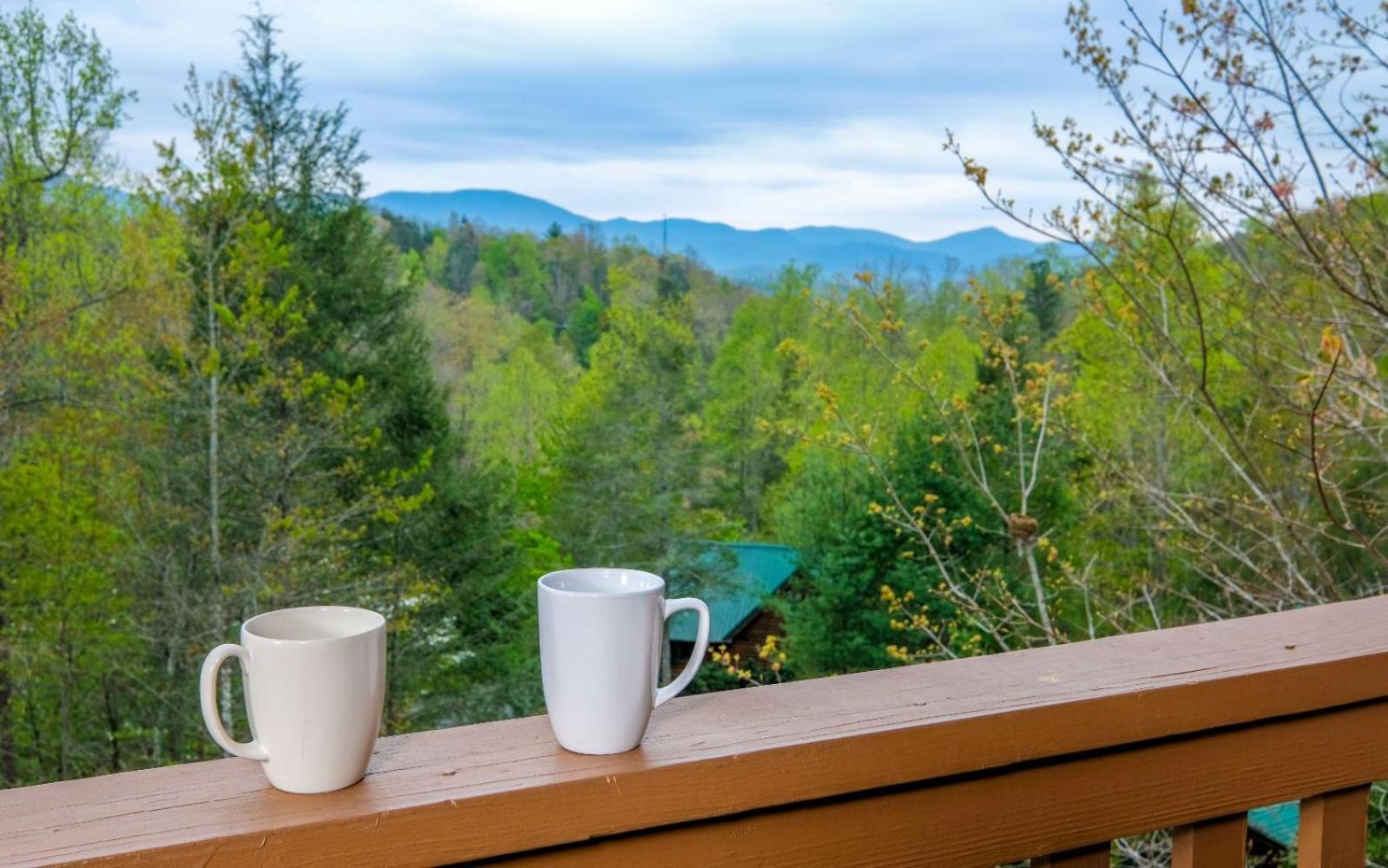 Villa Siesta Ridge à Gatlinburg Extérieur photo